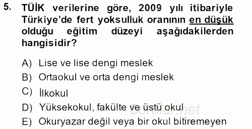 Türkiye Ekonomisi 2013 - 2014 Tek Ders Sınavı 5.Soru