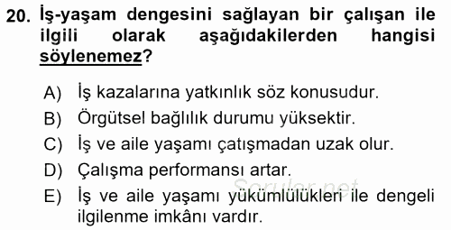 Yeni Teknolojiler ve Çalışma Hayatı 2016 - 2017 Ara Sınavı 20.Soru