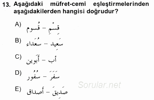 Arapça 3 2015 - 2016 Dönem Sonu Sınavı 13.Soru
