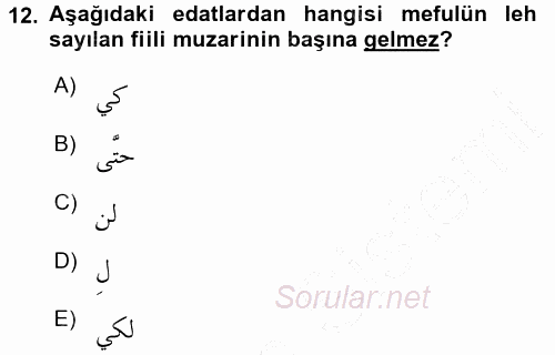 Arapça 3 2015 - 2016 Dönem Sonu Sınavı 12.Soru