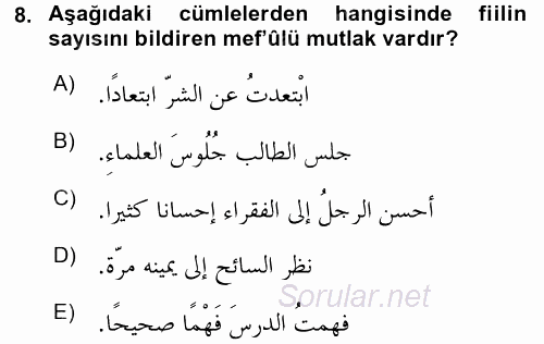 Arapça 3 2015 - 2016 Dönem Sonu Sınavı 8.Soru