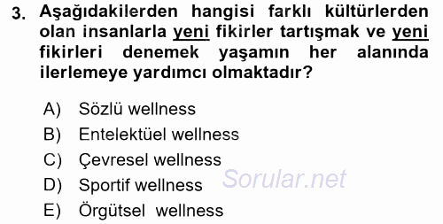 Termal ve Spa Hizmetleri 2017 - 2018 Dönem Sonu Sınavı 3.Soru