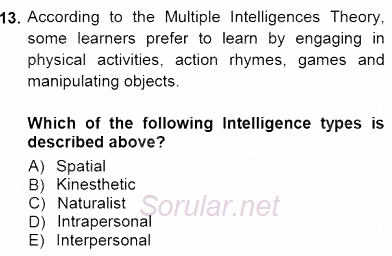 Çocuklara Yabancı Dil Öğretimi 1 2012 - 2013 Dönem Sonu Sınavı 13.Soru
