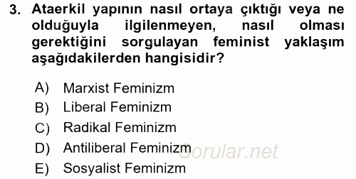 Aile Sosyolojisi 2016 - 2017 Ara Sınavı 3.Soru