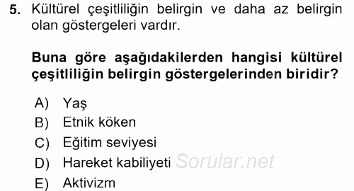 Küreselleşme ve Kültürlerarası İletişim 2017 - 2018 Ara Sınavı 5.Soru