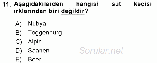 Hayvan Yetiştirme 2015 - 2016 Dönem Sonu Sınavı 11.Soru