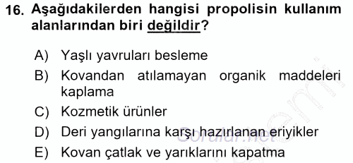 Hayvan Yetiştirme 2015 - 2016 Dönem Sonu Sınavı 16.Soru