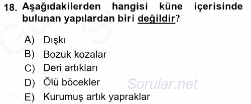 Hayvan Yetiştirme 2015 - 2016 Dönem Sonu Sınavı 18.Soru