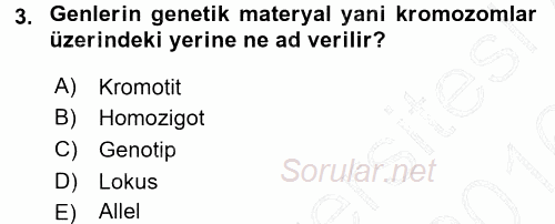 Hayvan Yetiştirme 2015 - 2016 Dönem Sonu Sınavı 3.Soru