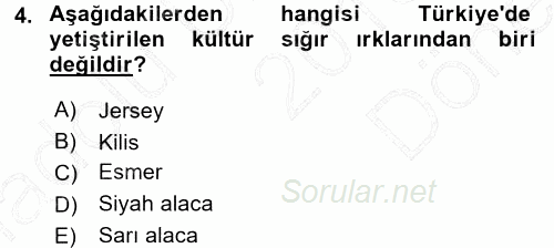 Hayvan Yetiştirme 2015 - 2016 Dönem Sonu Sınavı 4.Soru