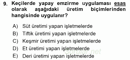 Hayvan Yetiştirme 2015 - 2016 Dönem Sonu Sınavı 9.Soru