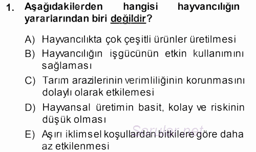 Hayvan Yetiştirme 2013 - 2014 Ara Sınavı 1.Soru