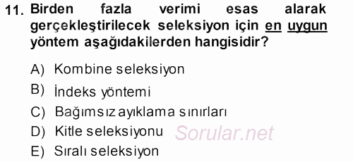 Hayvan Yetiştirme 2013 - 2014 Ara Sınavı 11.Soru