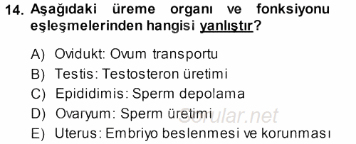 Hayvan Yetiştirme 2013 - 2014 Ara Sınavı 14.Soru