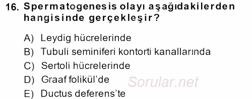 Hayvan Yetiştirme 2013 - 2014 Ara Sınavı 16.Soru