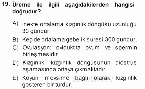 Hayvan Yetiştirme 2013 - 2014 Ara Sınavı 19.Soru