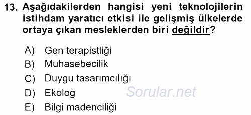 Yeni Teknolojiler ve Çalışma Hayatı 2017 - 2018 Dönem Sonu Sınavı 13.Soru