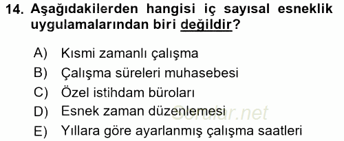 Yeni Teknolojiler ve Çalışma Hayatı 2017 - 2018 Dönem Sonu Sınavı 14.Soru