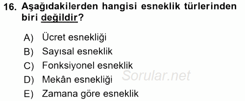 Yeni Teknolojiler ve Çalışma Hayatı 2017 - 2018 Dönem Sonu Sınavı 16.Soru