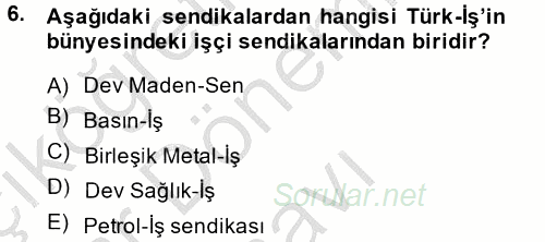 Endüstri Sosyolojisi 2014 - 2015 Dönem Sonu Sınavı 6.Soru