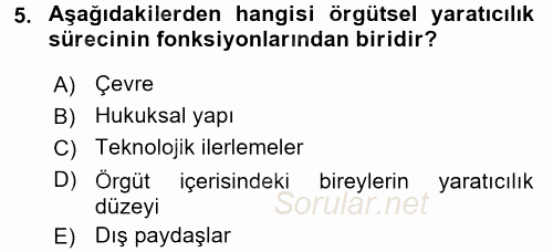 Yenilik Yönetimi 2016 - 2017 Ara Sınavı 5.Soru