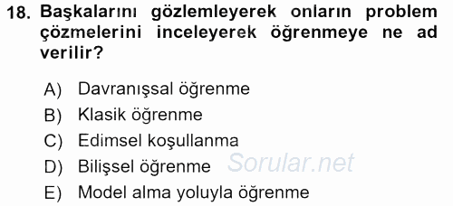 Tüketici Davranışları 2017 - 2018 Ara Sınavı 18.Soru