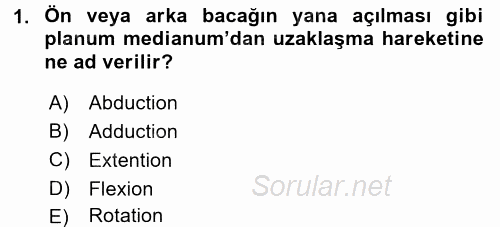 Temel Veteriner Anatomi 2016 - 2017 Dönem Sonu Sınavı 1.Soru