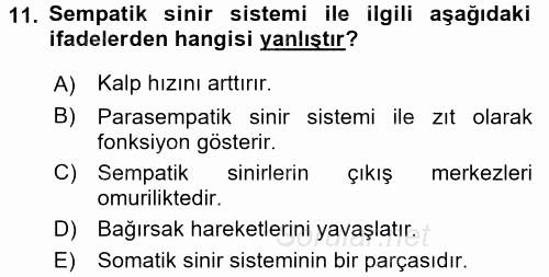 Temel Veteriner Anatomi 2016 - 2017 Dönem Sonu Sınavı 11.Soru