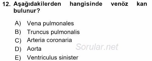 Temel Veteriner Anatomi 2016 - 2017 Dönem Sonu Sınavı 12.Soru