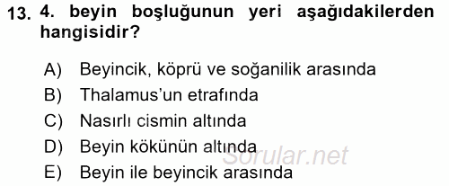 Temel Veteriner Anatomi 2016 - 2017 Dönem Sonu Sınavı 13.Soru