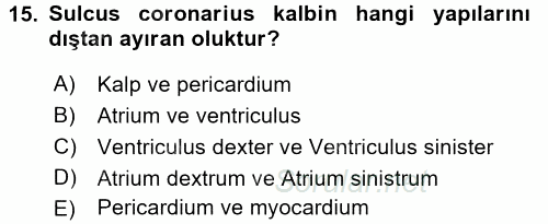 Temel Veteriner Anatomi 2016 - 2017 Dönem Sonu Sınavı 15.Soru