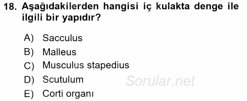 Temel Veteriner Anatomi 2016 - 2017 Dönem Sonu Sınavı 18.Soru