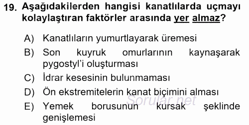 Temel Veteriner Anatomi 2016 - 2017 Dönem Sonu Sınavı 19.Soru