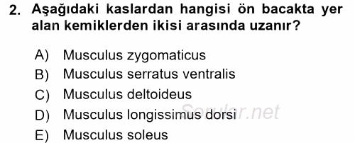 Temel Veteriner Anatomi 2016 - 2017 Dönem Sonu Sınavı 2.Soru