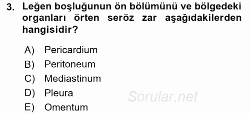 Temel Veteriner Anatomi 2016 - 2017 Dönem Sonu Sınavı 3.Soru