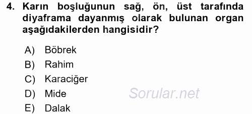 Temel Veteriner Anatomi 2016 - 2017 Dönem Sonu Sınavı 4.Soru