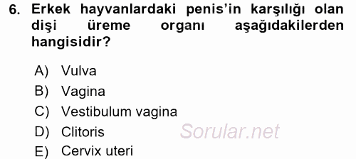 Temel Veteriner Anatomi 2016 - 2017 Dönem Sonu Sınavı 6.Soru