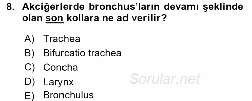 Temel Veteriner Anatomi 2016 - 2017 Dönem Sonu Sınavı 8.Soru