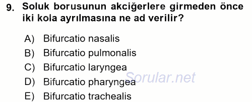 Temel Veteriner Anatomi 2016 - 2017 Dönem Sonu Sınavı 9.Soru