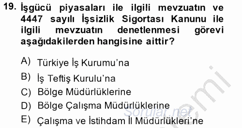 Çalışma Yaşamının Denetimi 2014 - 2015 Dönem Sonu Sınavı 19.Soru