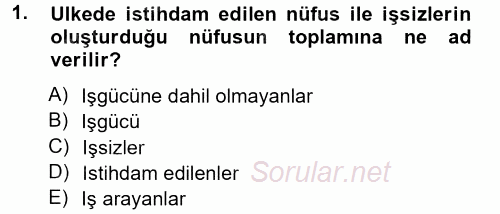 İstihdam ve İşsizlik 2012 - 2013 Ara Sınavı 1.Soru