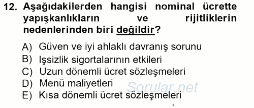 İstihdam ve İşsizlik 2012 - 2013 Ara Sınavı 12.Soru