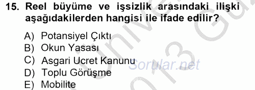 İstihdam ve İşsizlik 2012 - 2013 Ara Sınavı 15.Soru