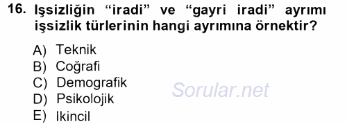İstihdam ve İşsizlik 2012 - 2013 Ara Sınavı 16.Soru