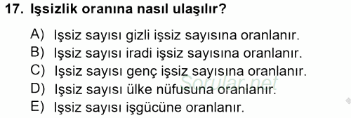 İstihdam ve İşsizlik 2012 - 2013 Ara Sınavı 17.Soru