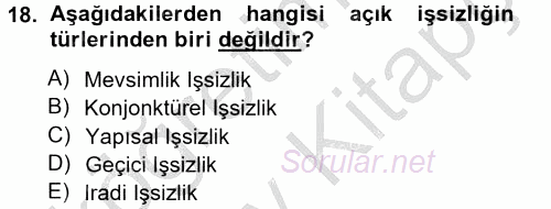 İstihdam ve İşsizlik 2012 - 2013 Ara Sınavı 18.Soru