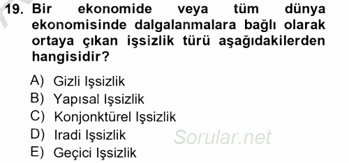 İstihdam ve İşsizlik 2012 - 2013 Ara Sınavı 19.Soru