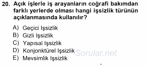İstihdam ve İşsizlik 2012 - 2013 Ara Sınavı 20.Soru