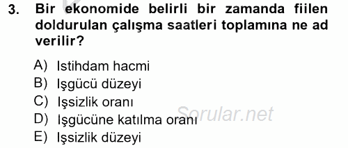 İstihdam ve İşsizlik 2012 - 2013 Ara Sınavı 3.Soru