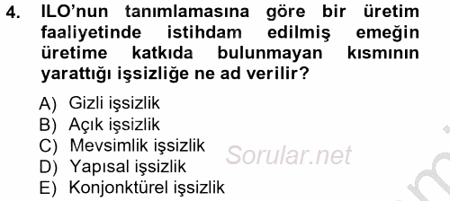 İstihdam ve İşsizlik 2012 - 2013 Ara Sınavı 4.Soru